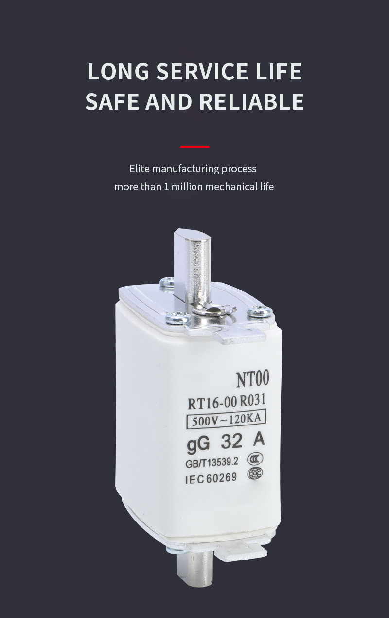 NT Low Voltage Fuse